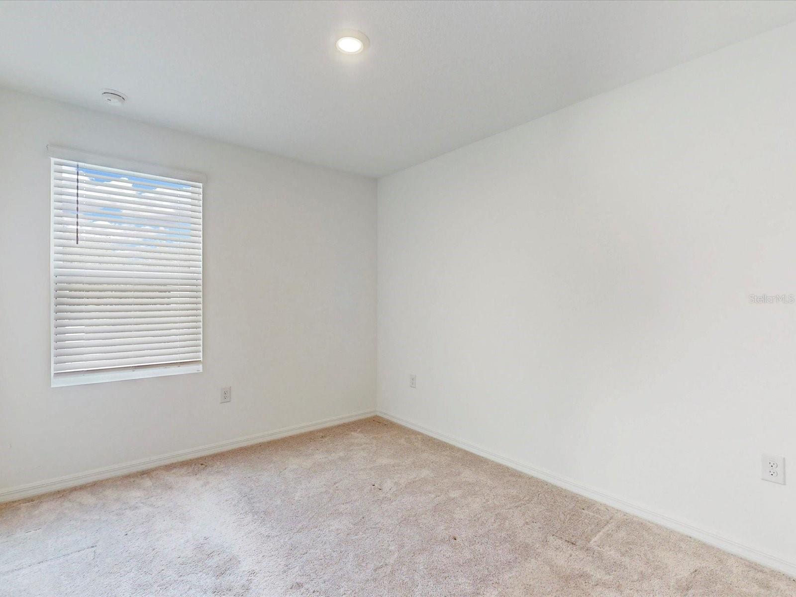 3002 Canary Avenue
