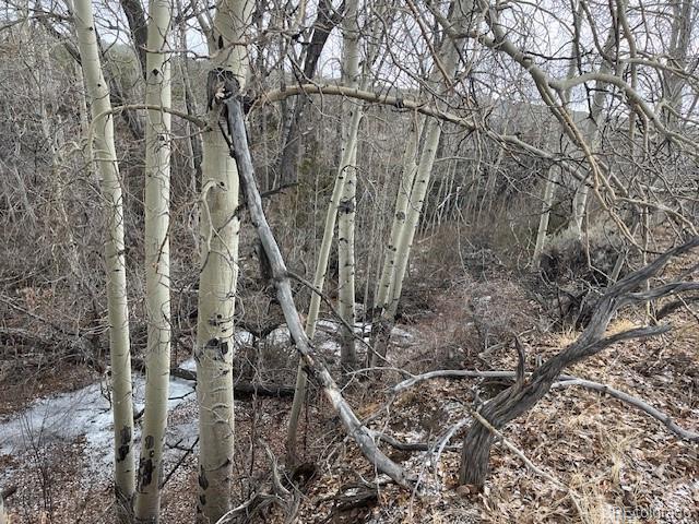 Lot 2242 Slegers Road