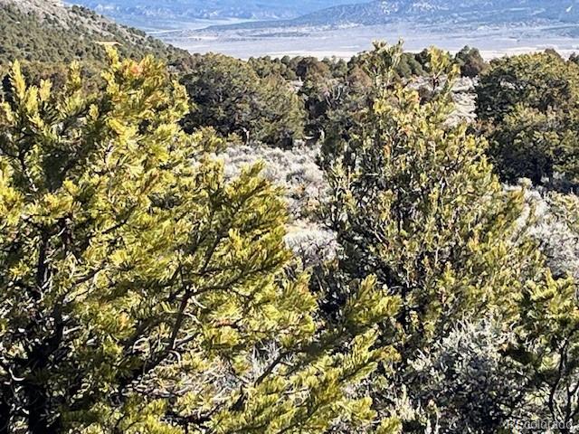 Lot 3 Ravenwood Lane