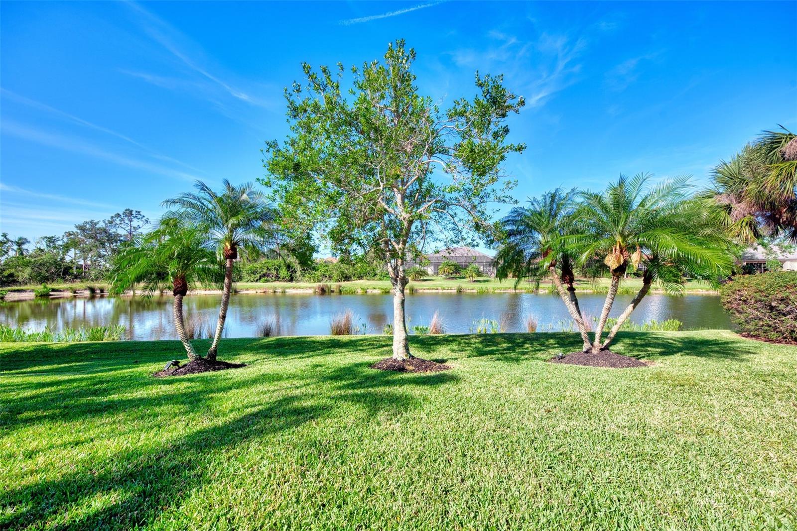 14236 Silver Lakes Circle