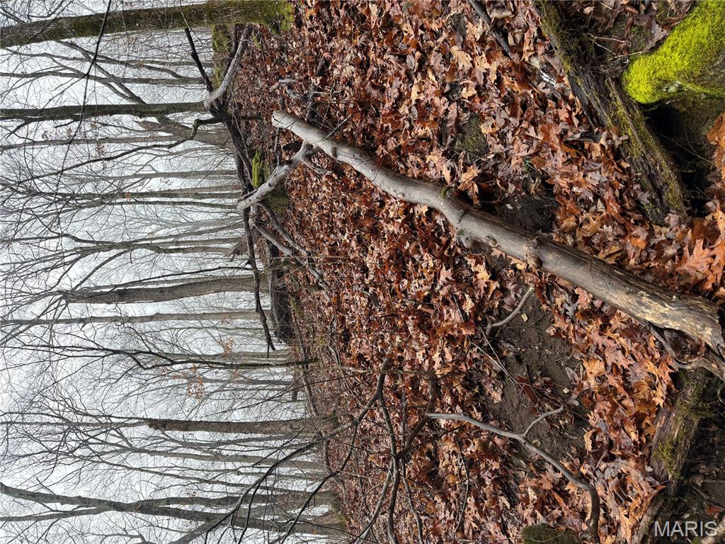 0 Peninsula Trail