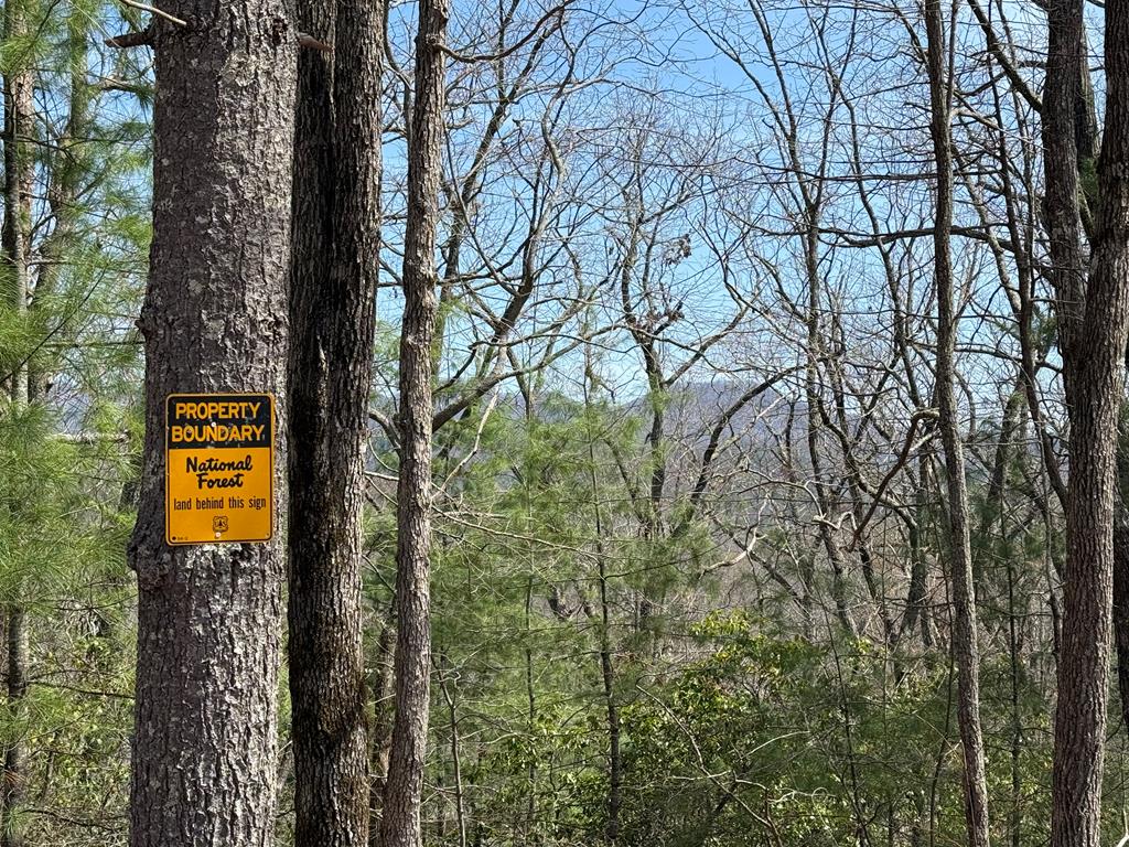 Ready to make your outdoor dreams a reality with land that works as hard as you do? This 5-acre vacant parcel with a ready-made driveway and excellent build sites makes setup simple whether you want an RV basecamp, a custom cabin, or multiple spots to spread out. The property lays beautifully, rolling through wooded terrain with level and gentle slope areas that give you both usable space and scenic privacy, and it even borders the U.S. Forest Service so your sense of space and access to nature feels limitless. Minutes from Lake Hiwassee's 6,000+-acre playground of boating, fishing, kayaking, and shoreline exploration, you're positioned for weekend fun and year-round adventure. With no restrictions to hold you back, enjoy the freedom to build, camp, explore, and live your way in the North Carolina mountains.