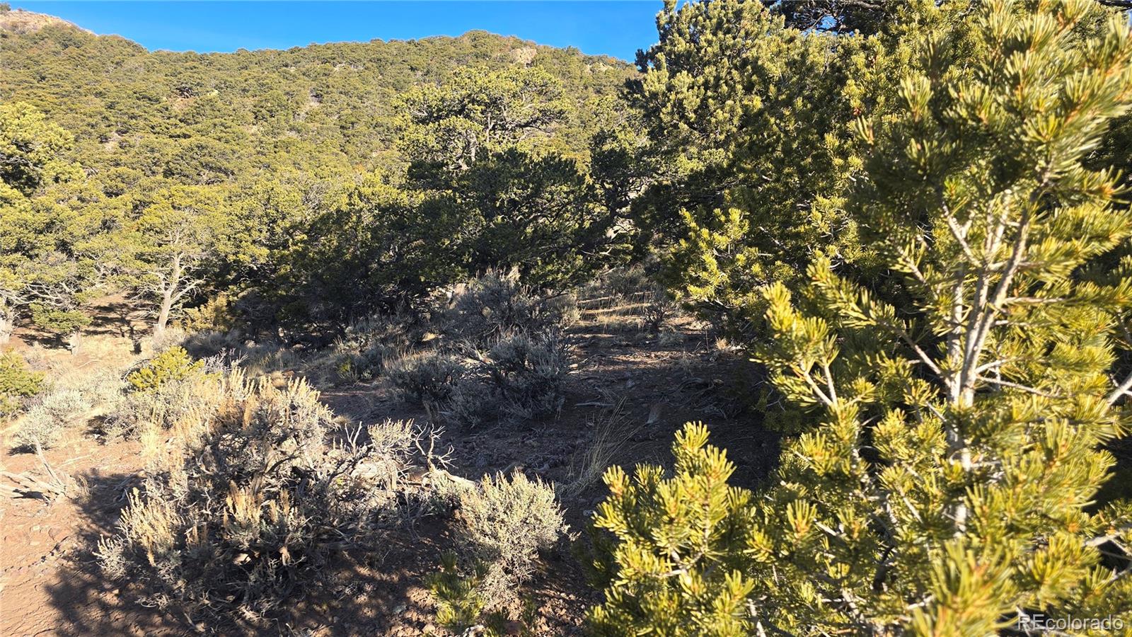 Lot 4582 Laidlaw Road