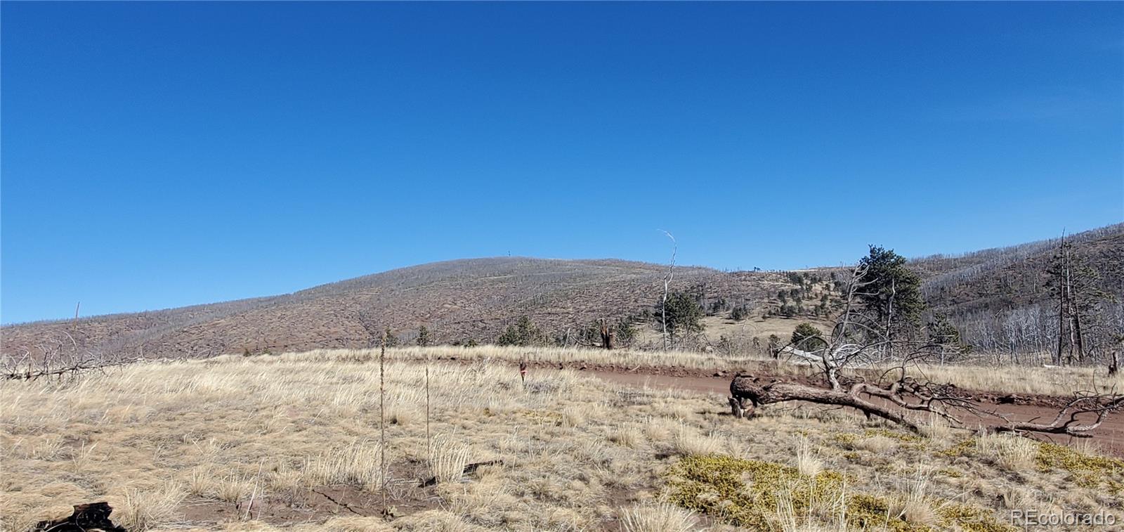 Lot 1566 Cary Lane