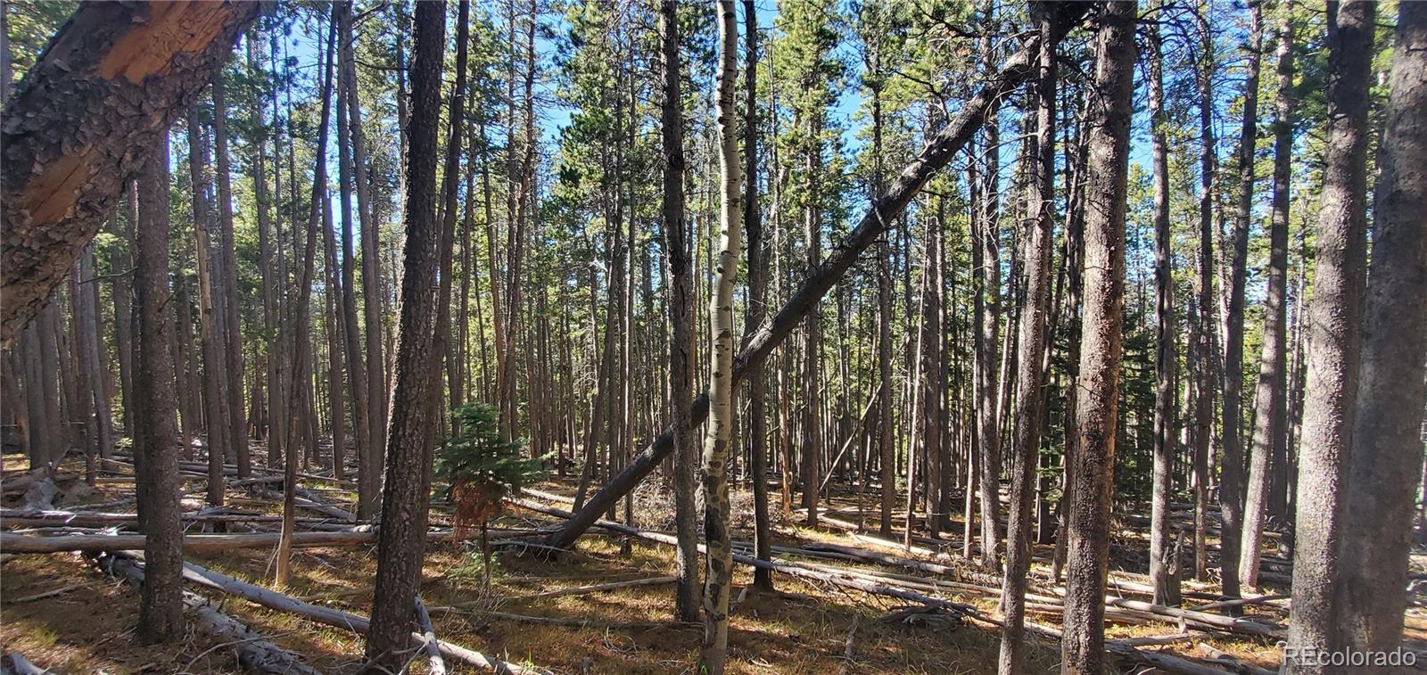 Lot 2682 & 2683 Purnell Lane