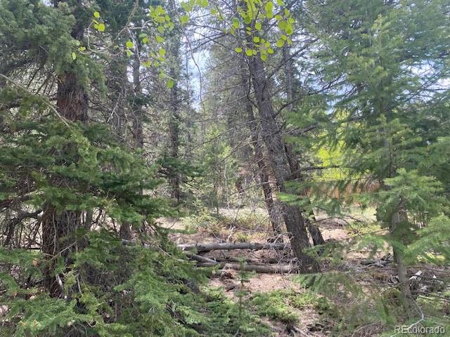 88 N Fork Road