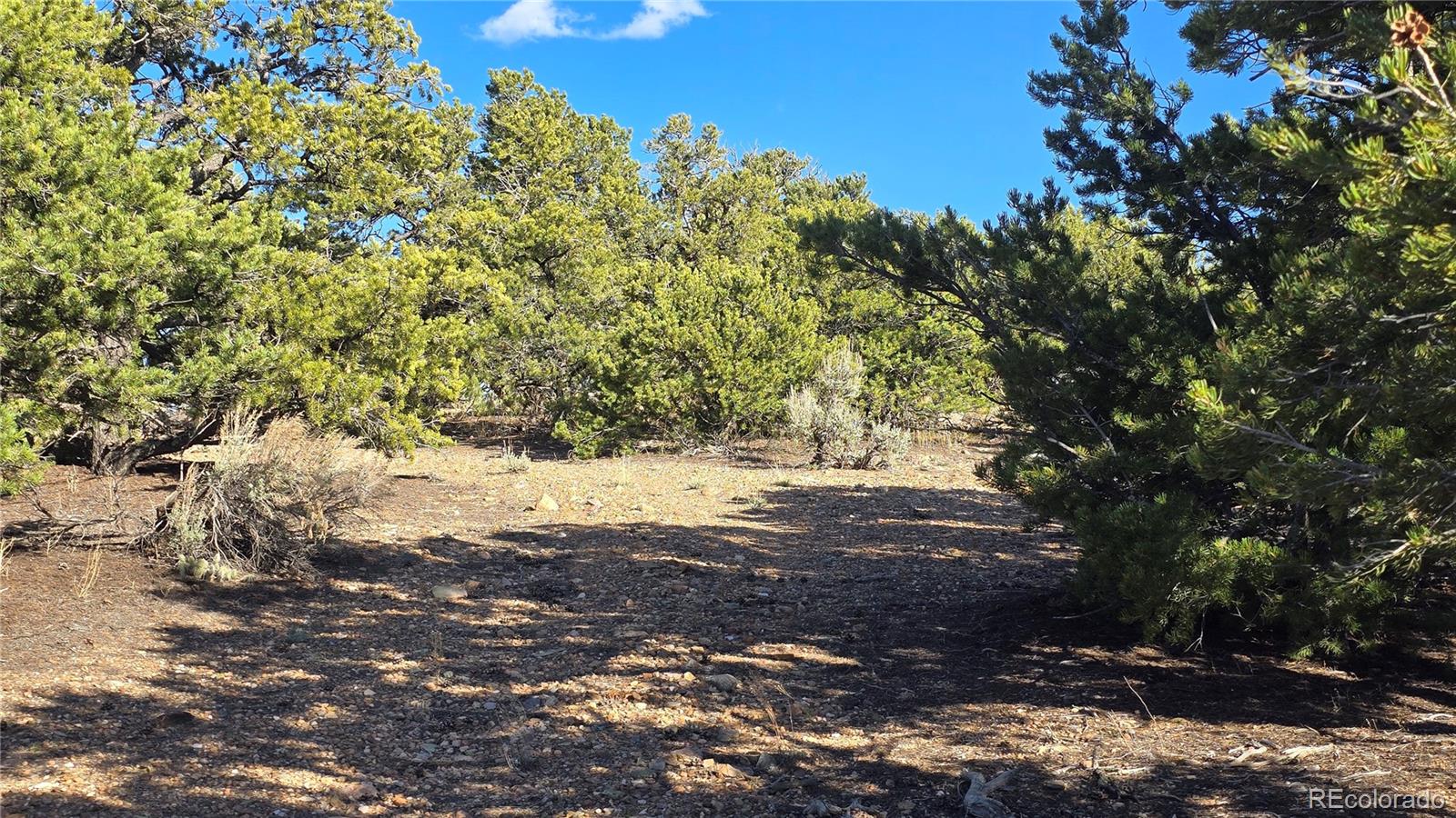 Lot 3886 & 3887 Galloway Road