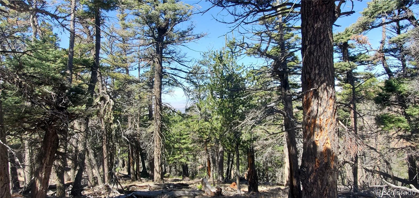 Lot 5802 Tagge Road