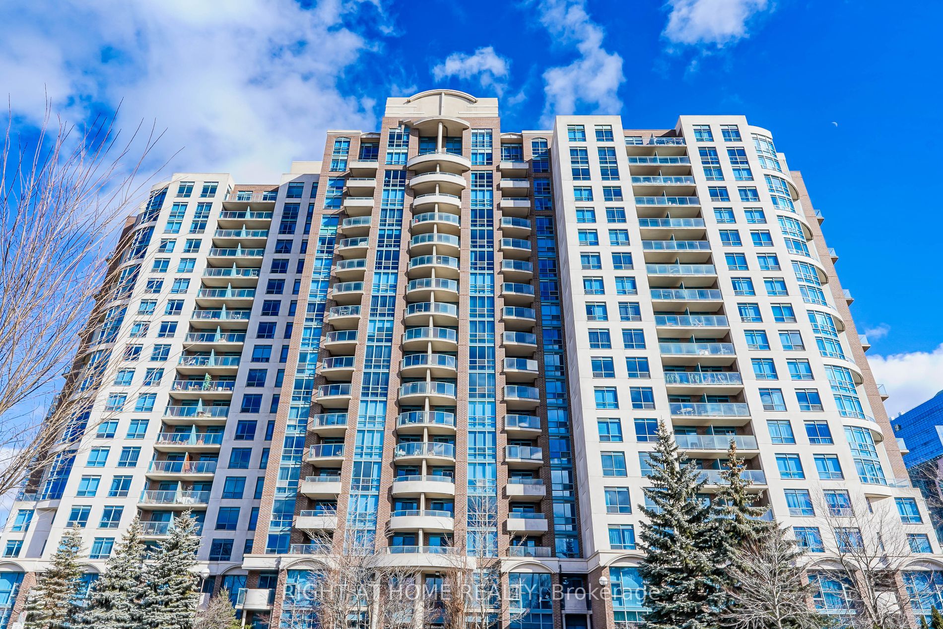 233 Beecroft Rd 319