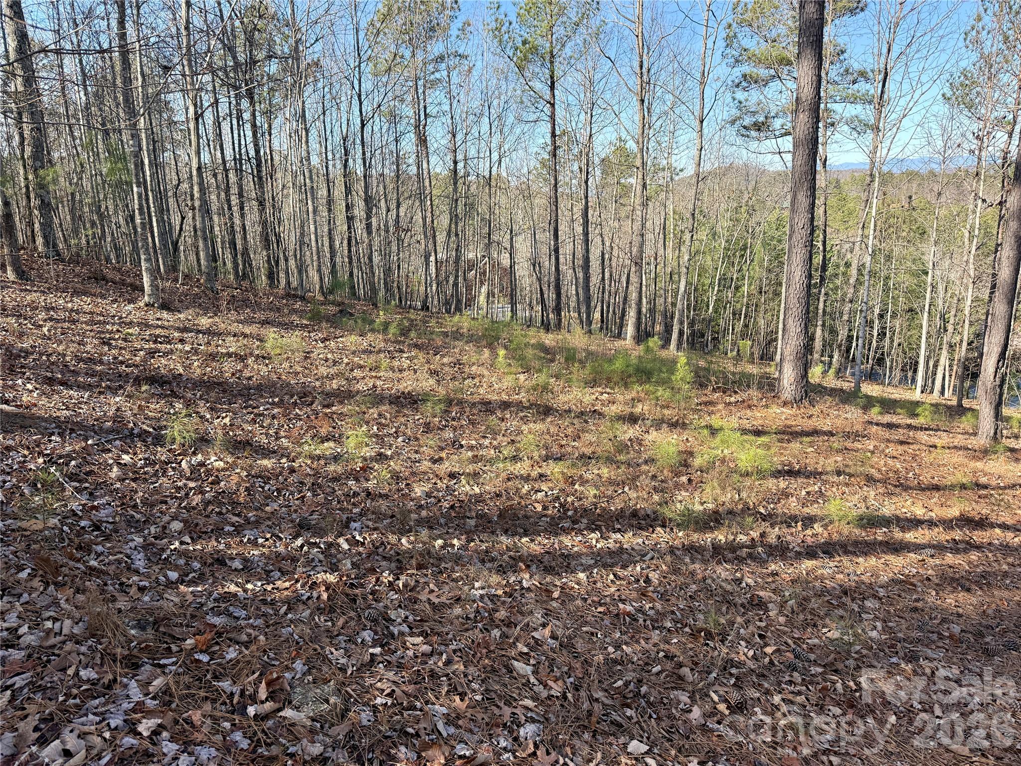 338 Grandview Peaks Drive 36