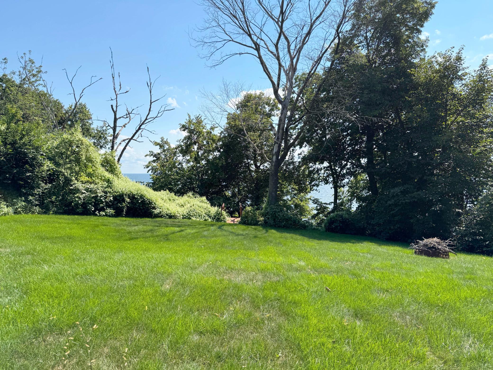 44205 Conifer Street