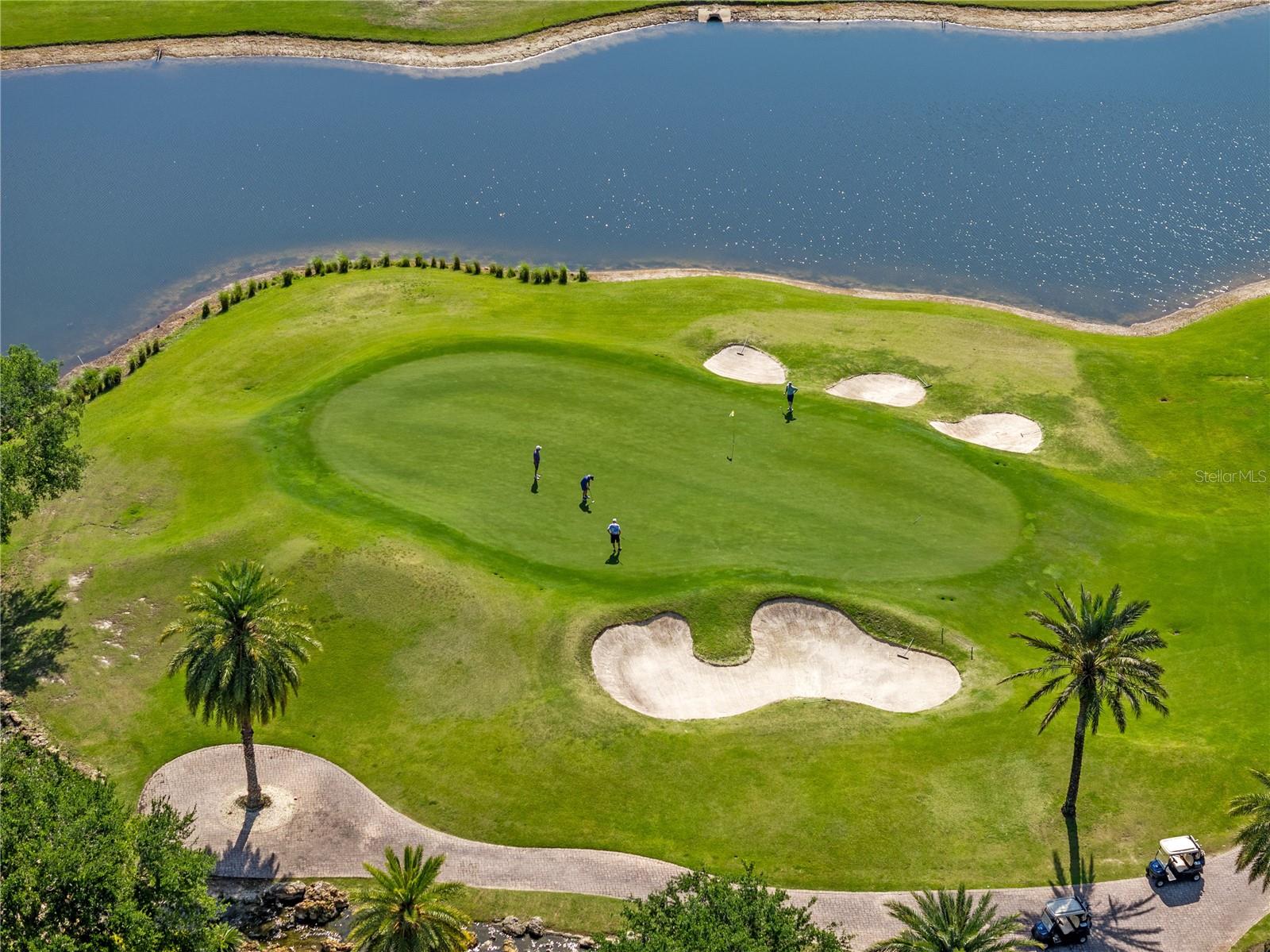 211 Conservatory Drive