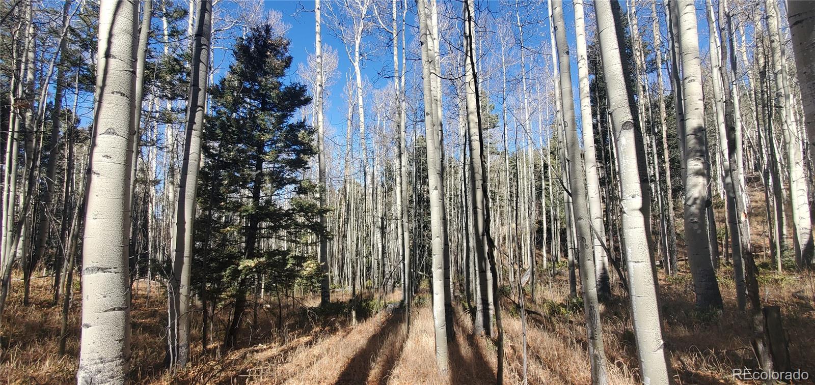 Lot 6060 Forbes Road
