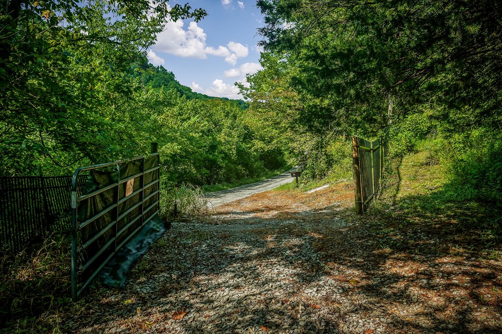 392 Possum Hollow Rd