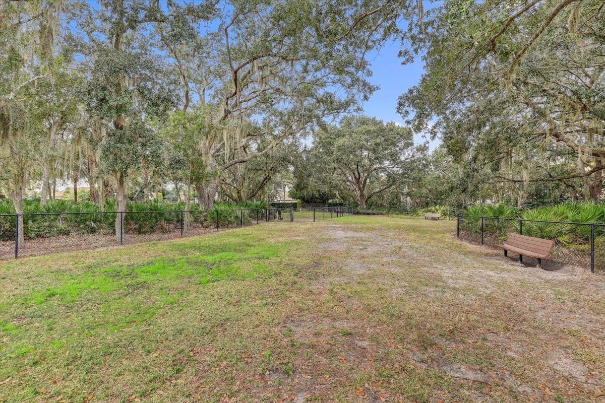 20113 Umbria Hill Drive