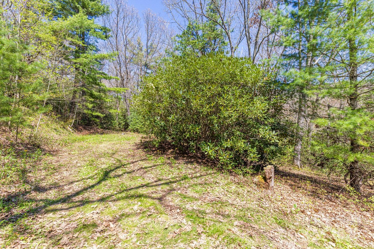 99999 Fairview Forest Drive