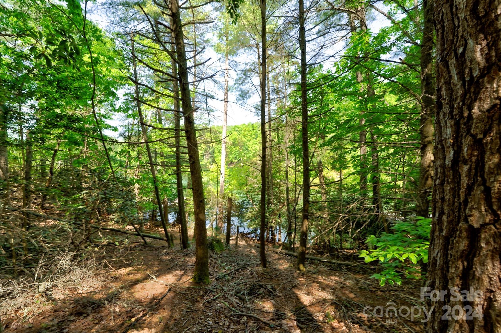 1634 Old Dry Creek Road 20