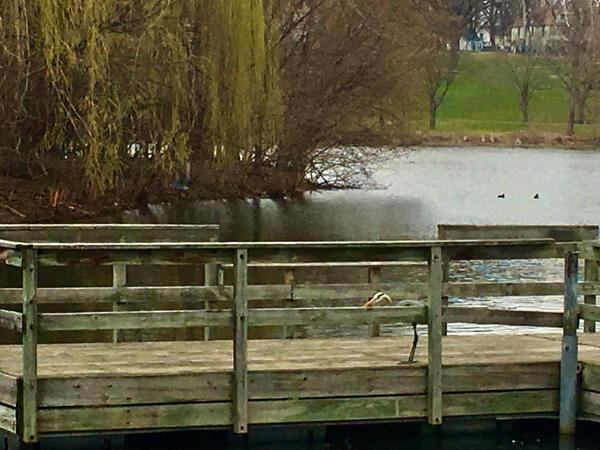 1300 Powderhorn Terrace 28