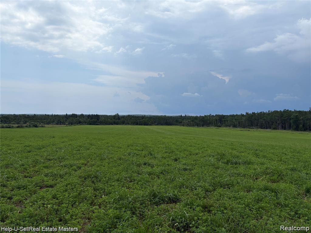 Discover year-round adventure on this breathtaking peninsula property, near the stunning shoreline of Hubbard Lake. Set on nearly 90 picturesque acres, ponds, and paved road access—all just minutes from local shopping and amenities.  Whether you're seeking a serene retreat or a recreational paradise, this property offers endless potential. Come experience your own slice of paradise!