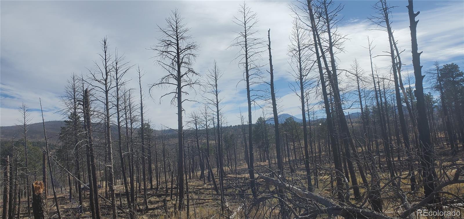 Lot 585 Leslie Loop