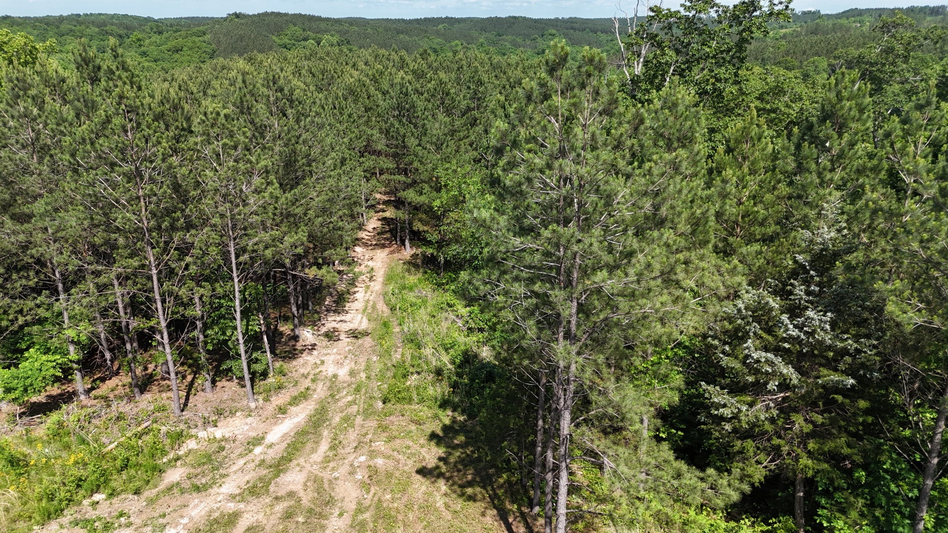 3149 Mcgee Rd