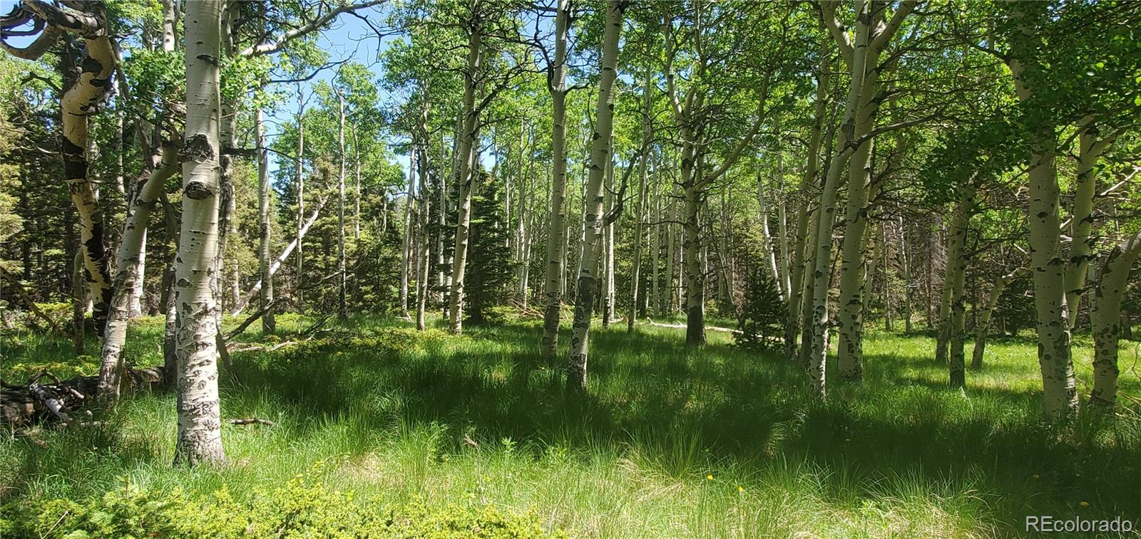 Lot 3085 Henderson Lane