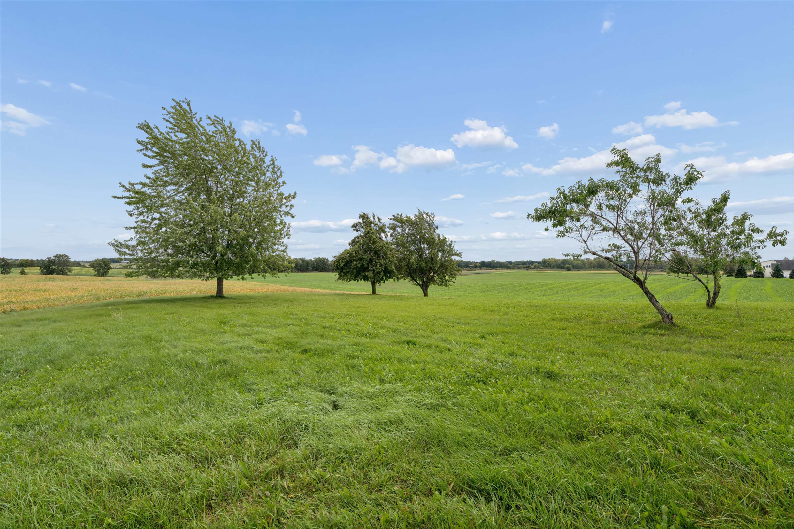 N9173 Holly Road