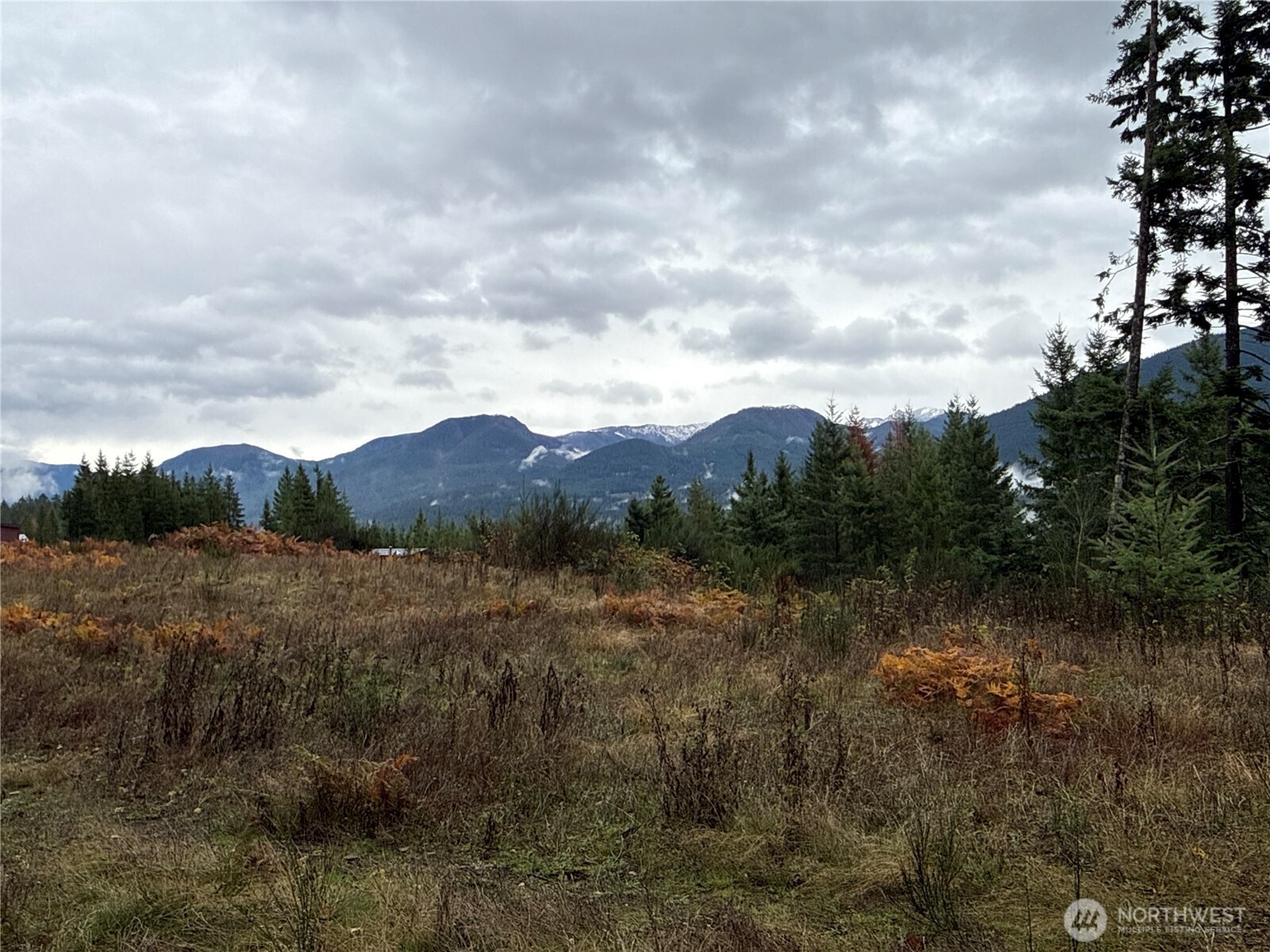 PACKWOOD – 6.000 ACRES: Phenomenal view of Goat Rocks and surrounding area. Great location to build your new custom home. Plenty of wildlife keeping you close to nature. 5min to Packwood and 90min to Yakima or Centralia for your shopping, dining, and entertainment needs. Recreational opportunities abound with Mt. Rainier National Park and White Pass Ski Area within 30min. Several area lakes for water sports as well. Property is 261,360 sf with level to sloping topography. Zoned RDD-5. No CCR’s. White Pass School District. Power available at street. Septic needed for sewer. Well on property. No gas. Buy and build or hold for future investment/development. No recent studies completed. Buyer to confirm feasibility for their building project.