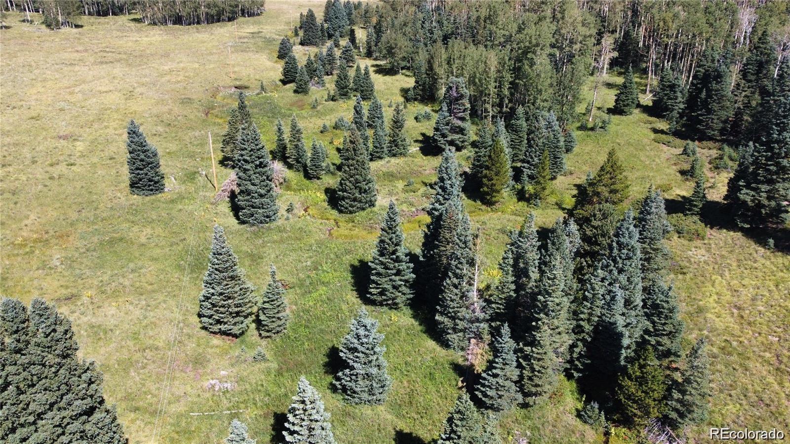 Lot 3141 Forbes Loop Road