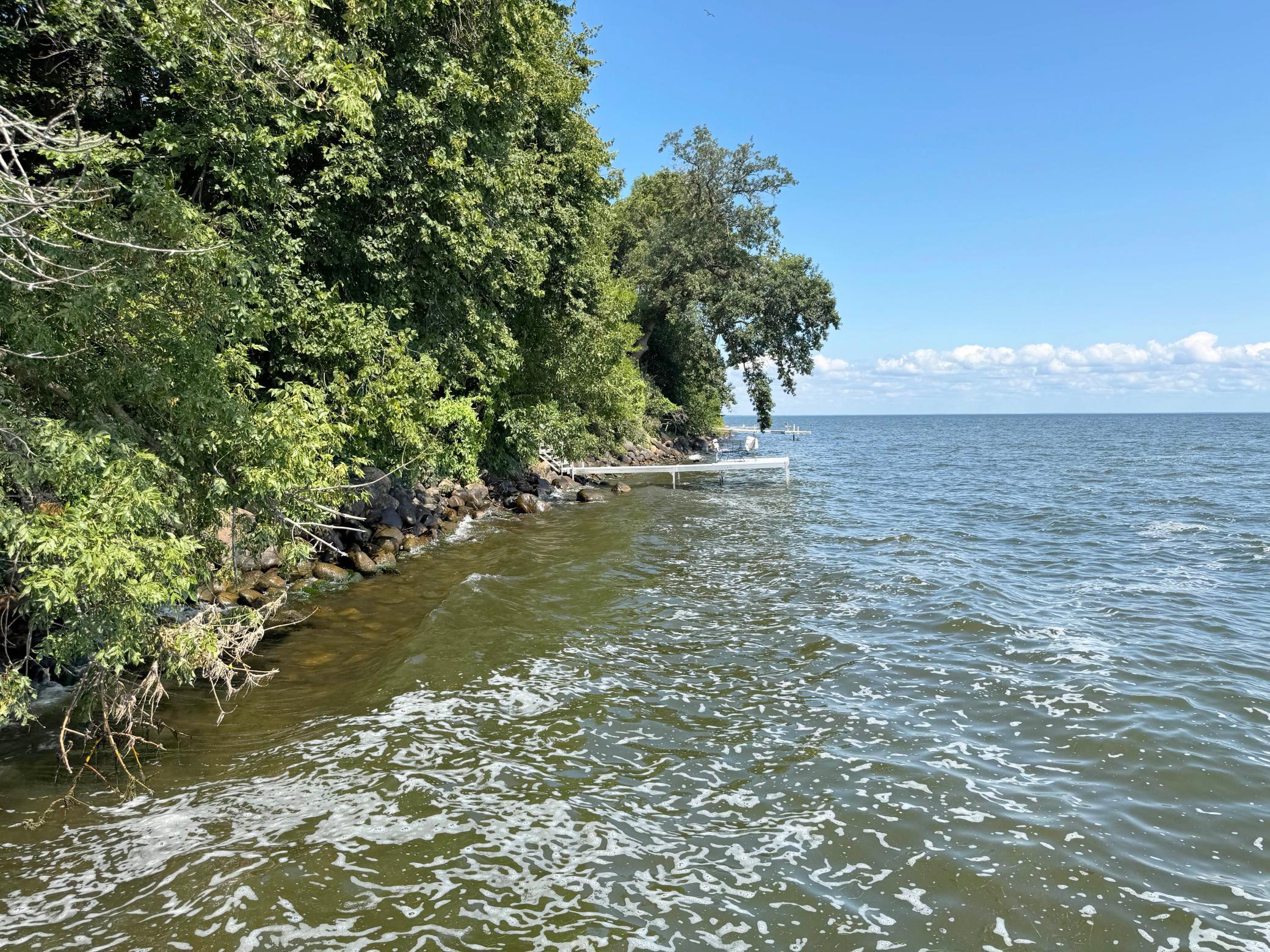 44205 Conifer Street