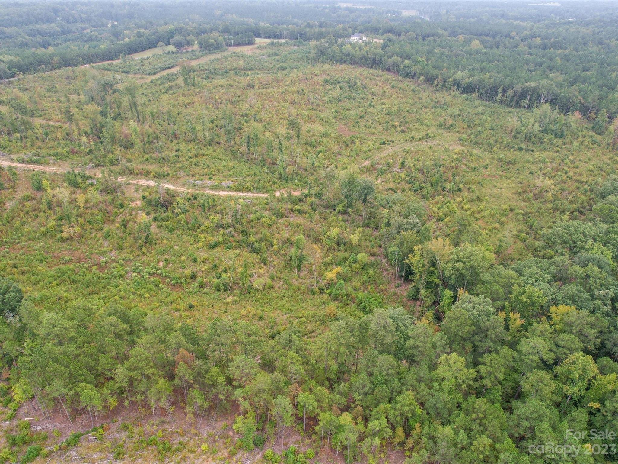 SR 1646 Morgan Sellers Road