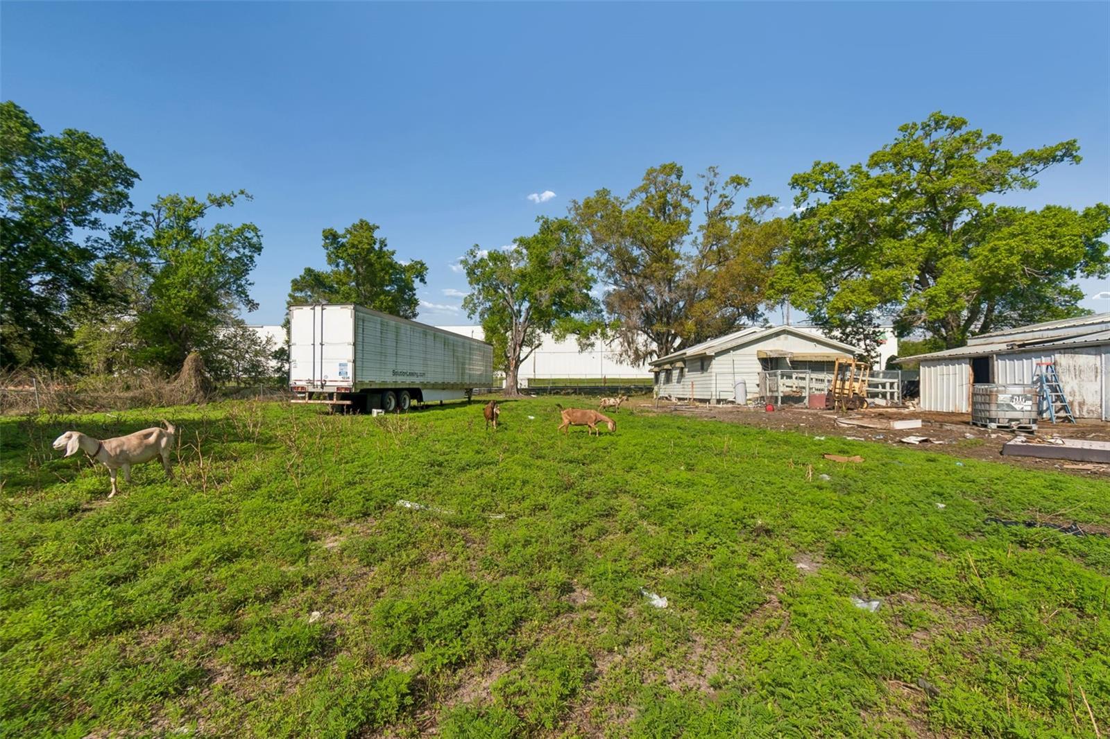 6213 Orient Road