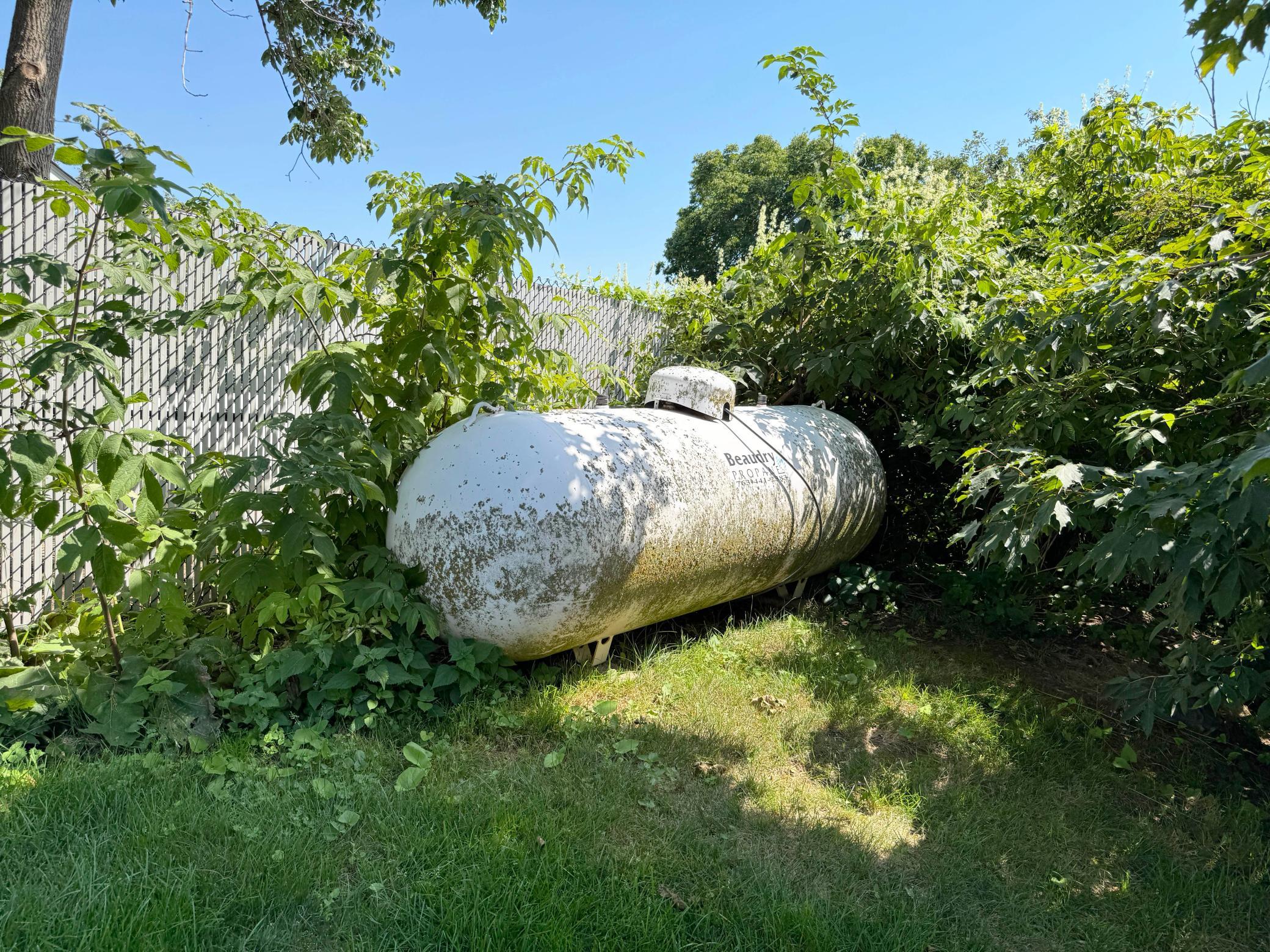 44205 Conifer Street