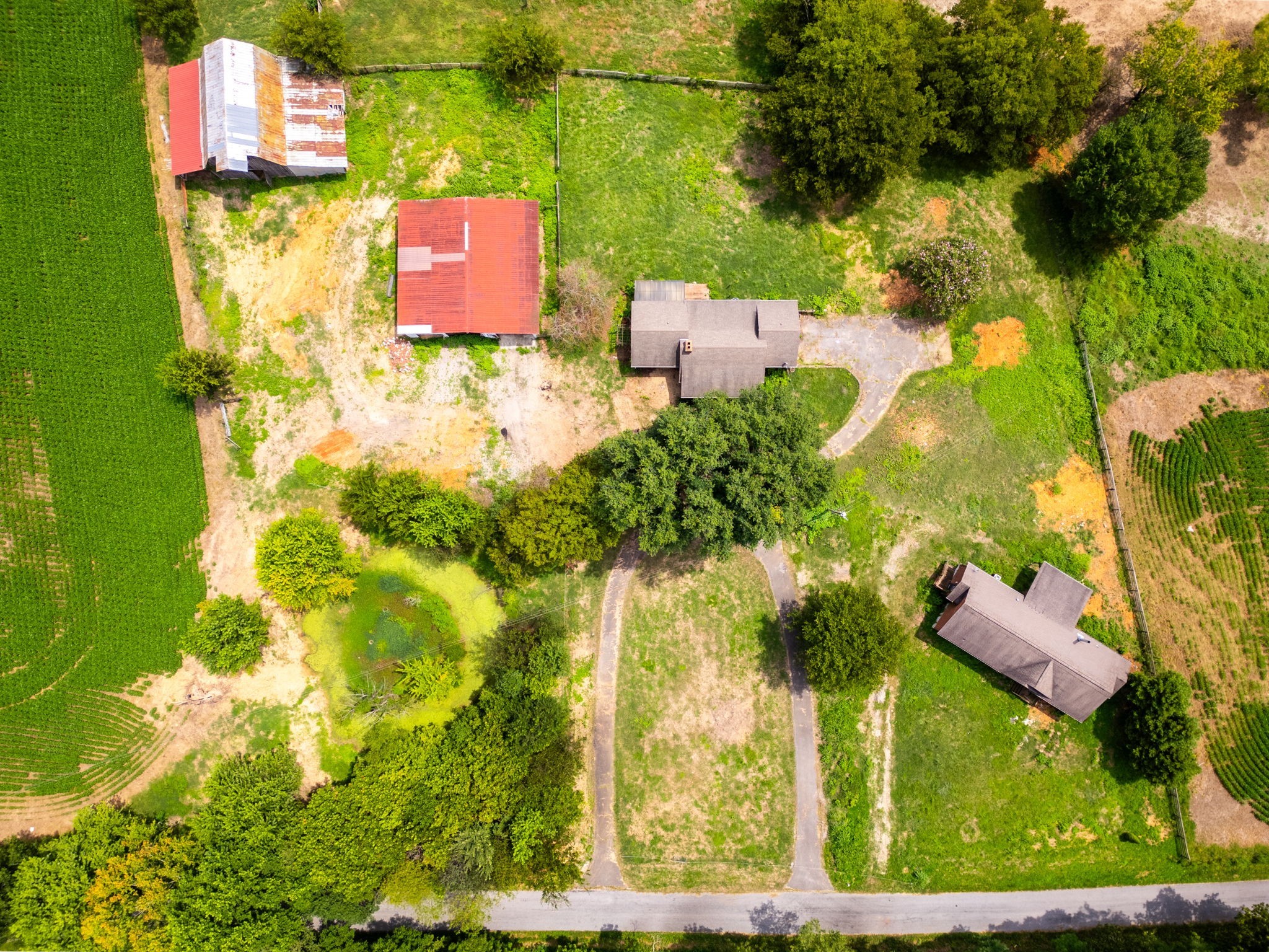 Hard to find 88.5 acres with 2 houses - both in need of rehab - but the possibilities are endless - several out buildings - including storage barn -stock barn - tobacco barn - ponds - currently leased for crops - apprx 3000 ft of road frontage on Caney Sink road and apprx 773 ft on Port Royal - Main house has basement where garage was converted to living space ! Beautiful setting - Land is currently leased for row crops - lease will need to be fulfilled or satisfied -