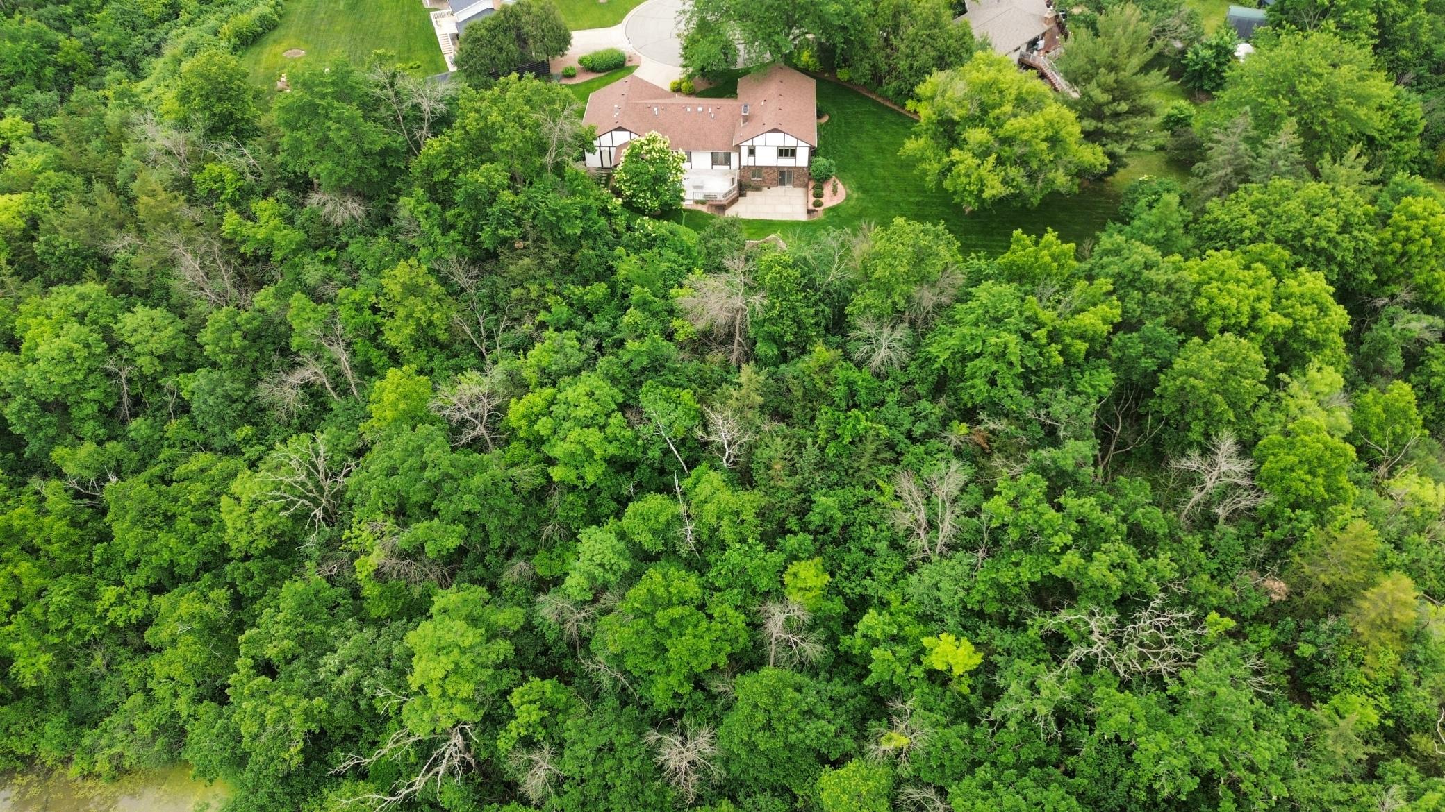 4336 Lookout Lane