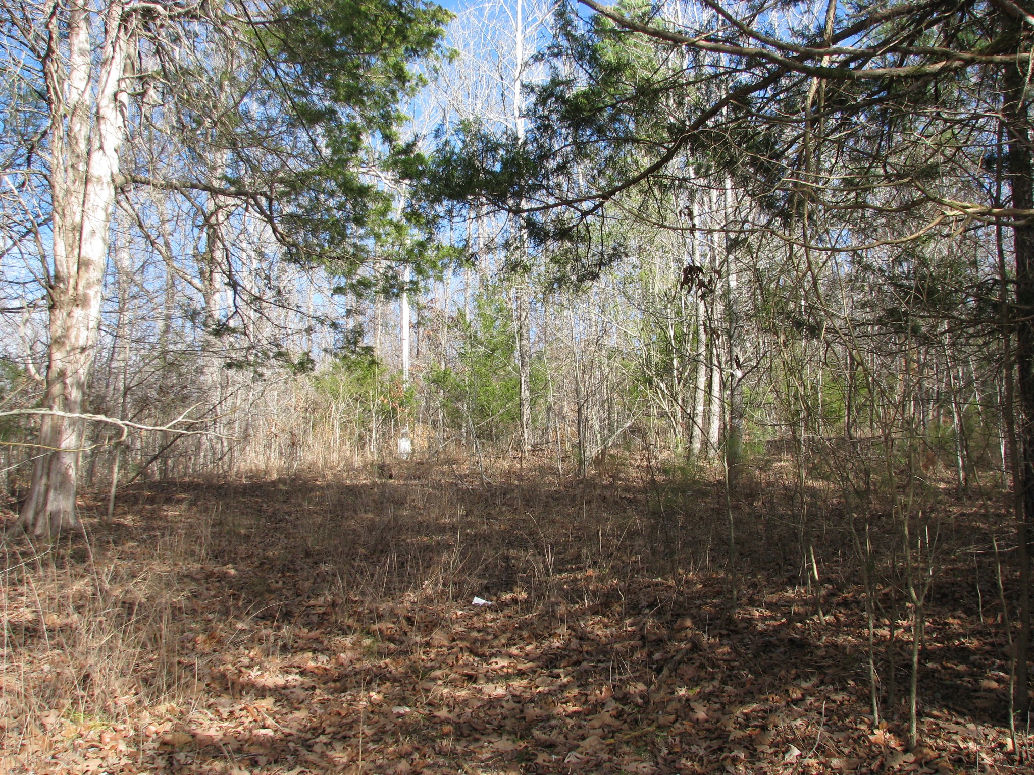 0 Cuba Landing Rd