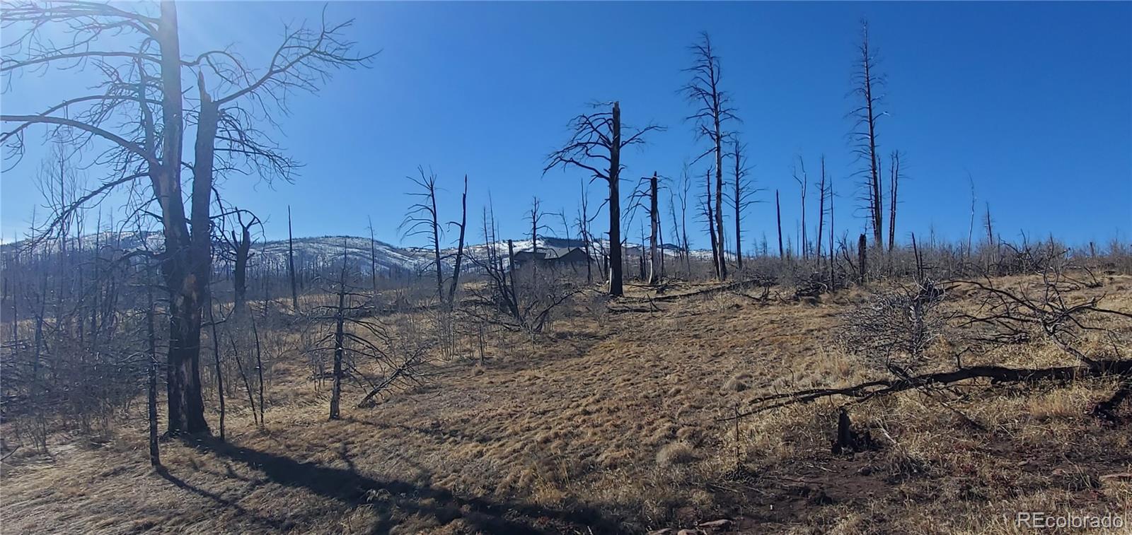 Lot 1566 Cary Lane