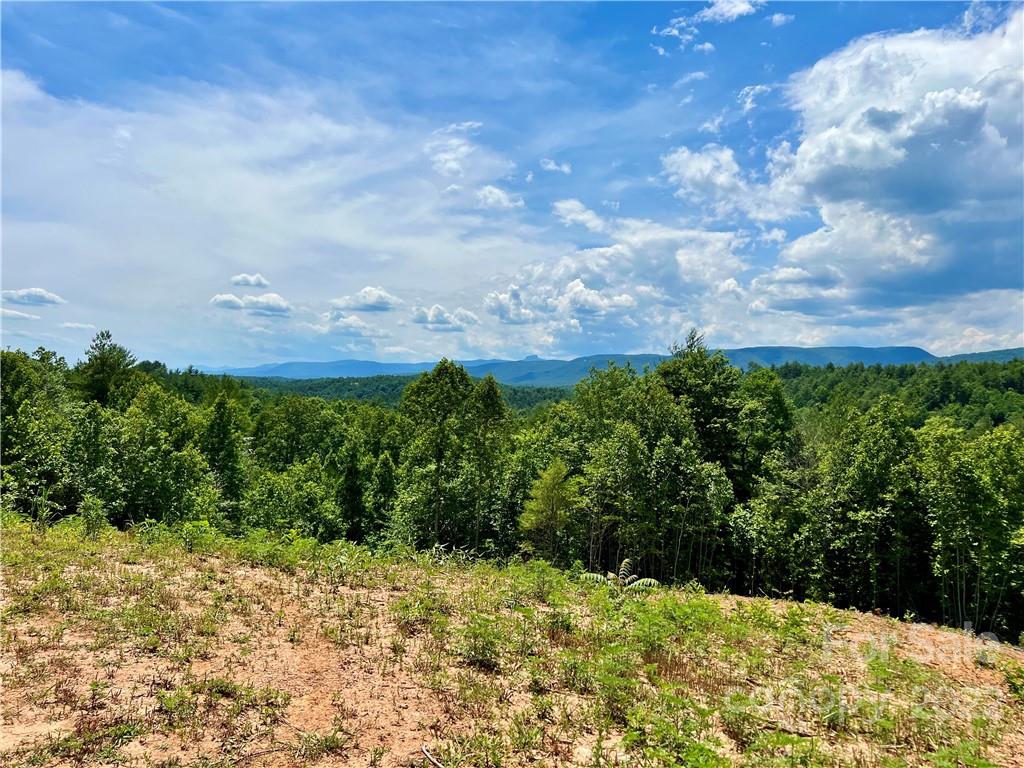 Lot 315 Johns Ridge Parkway 315