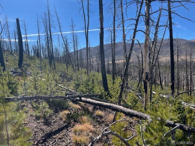 Lot 1741 Mathlide Place