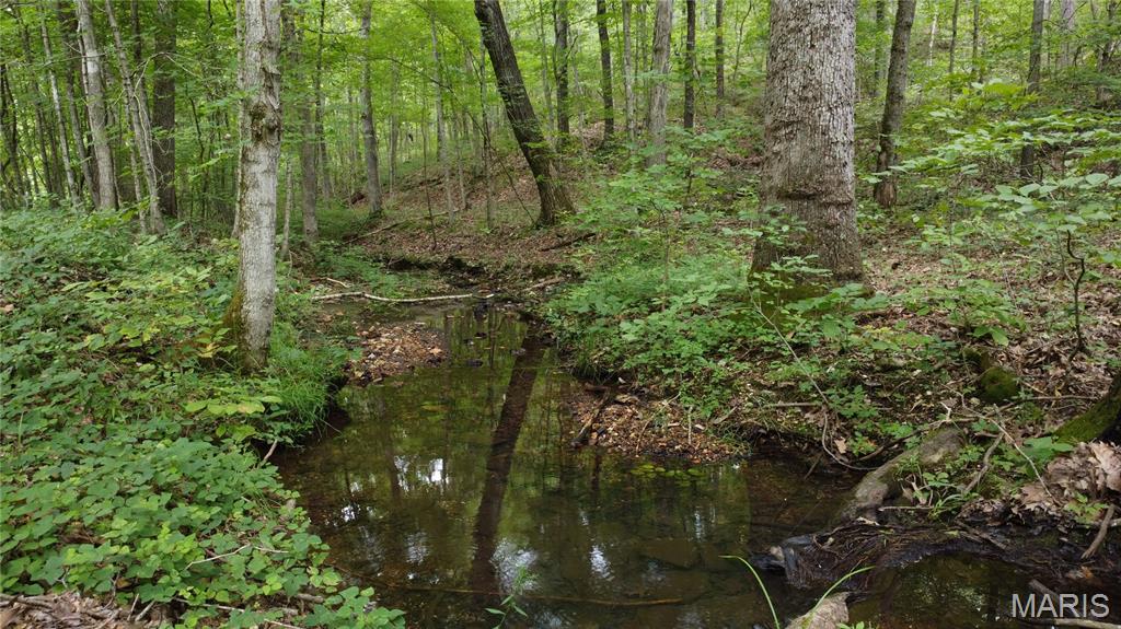 10223 San Juan Trail