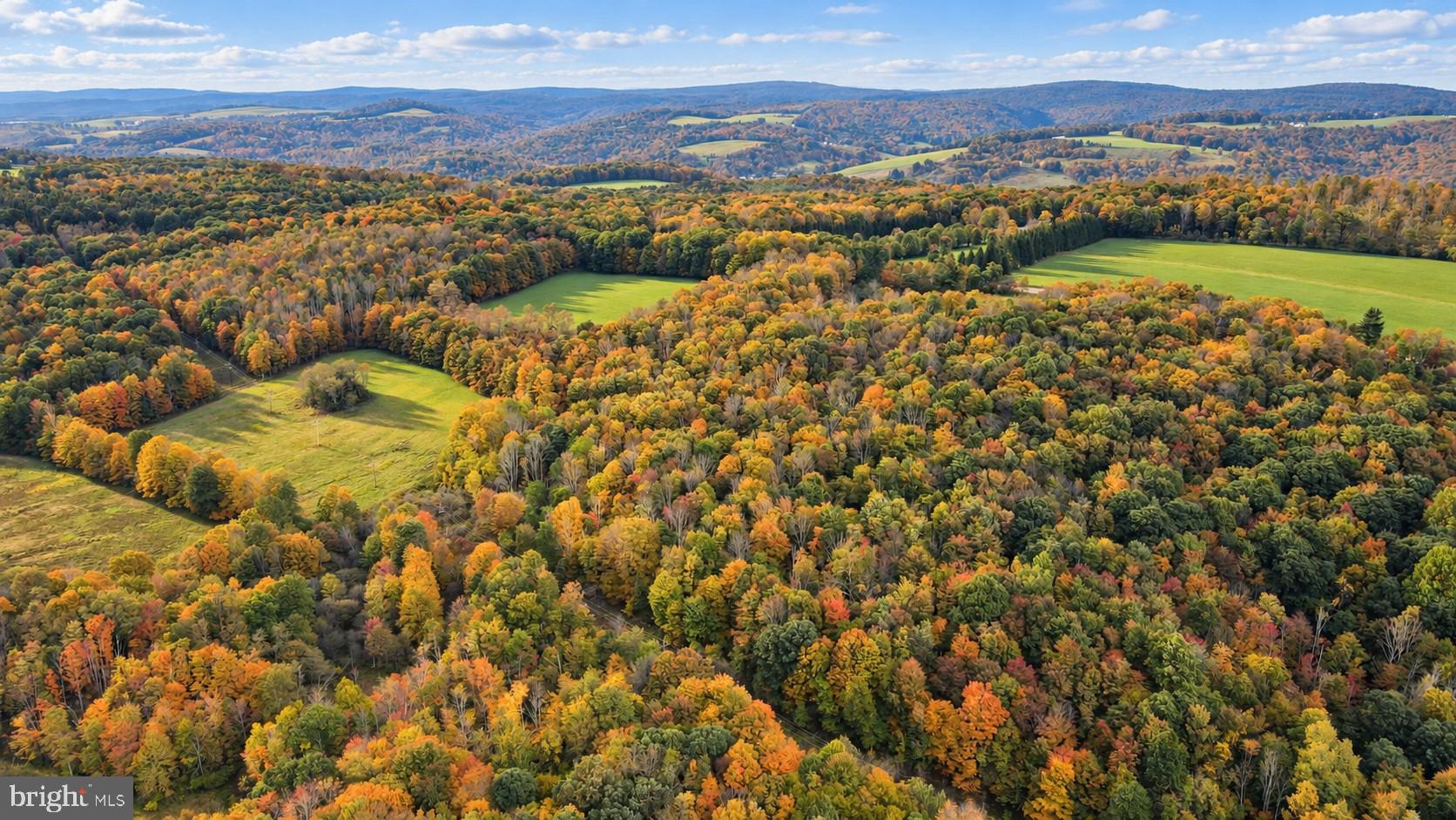 A rare opportunity to own approximately 163 acres in the highly desirable Bittinger area of Garrett County. Comprised of two parcels, this exceptional property offers a beautiful mix of open fields and mature woods, creating endless possibilities for a private estate, recreational retreat, agricultural use, hunting, or future development. One parcel is enhanced by a tributary that feeds the north branch of the Casselman River, adding to the natural beauty and character of the land. Expansive acreage, stunning long-range views, and a peaceful rural setting make this a truly special offering. Enjoy the privacy of the countryside while remaining less than 10 minutes from Grantsville and under 20 minutes from Deep Creek Lake. Large tracts of land in this sought-after location are increasingly difficult to find—an incredible opportunity to own a remarkable piece of Garrett County.