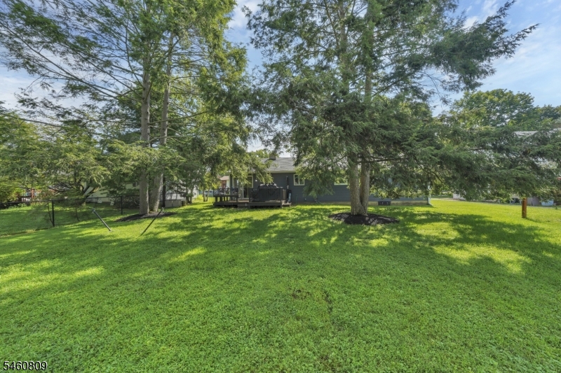 113 Carol Dr — photo 18 of 18