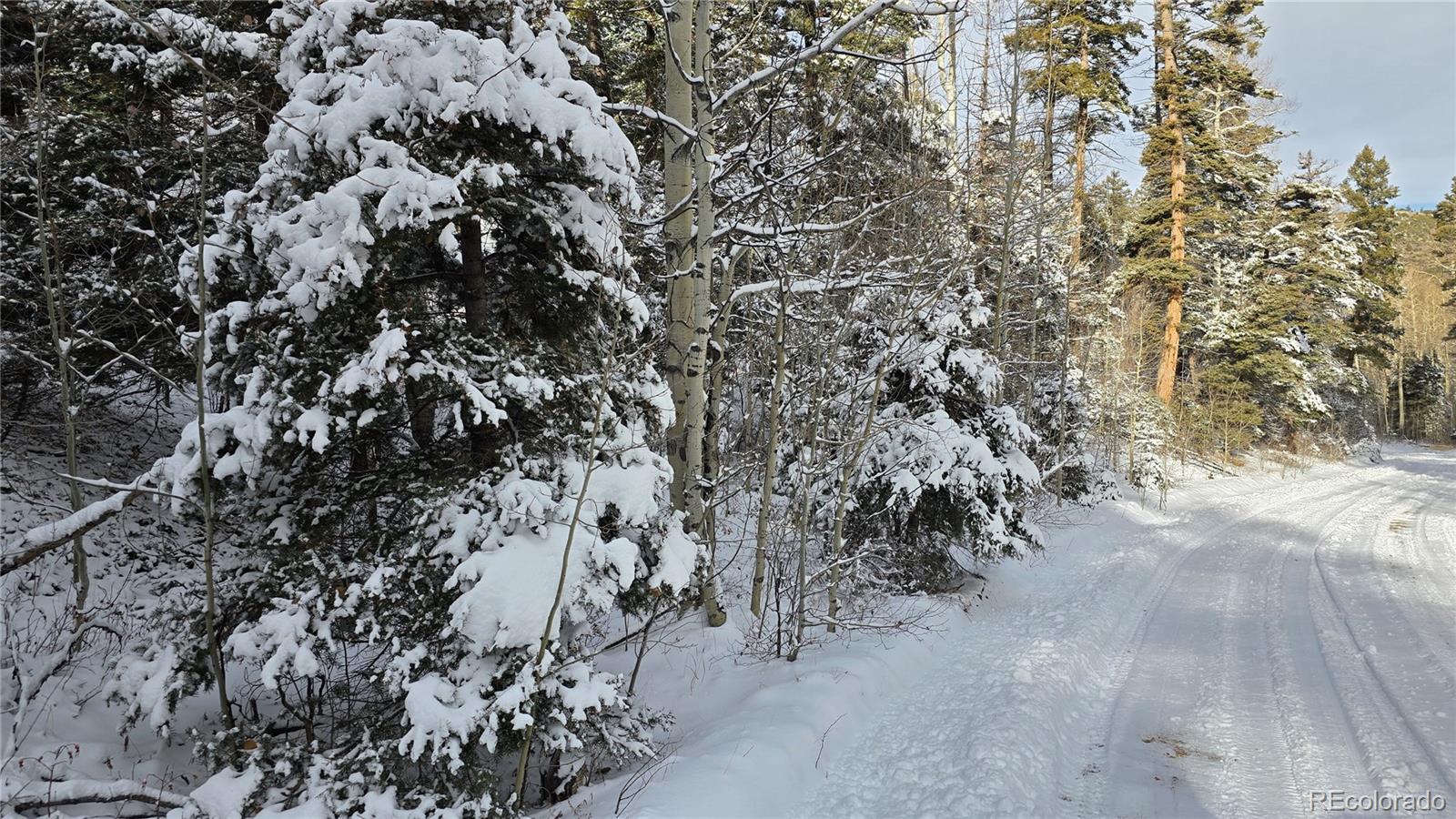 Lot 5540 Joy Road