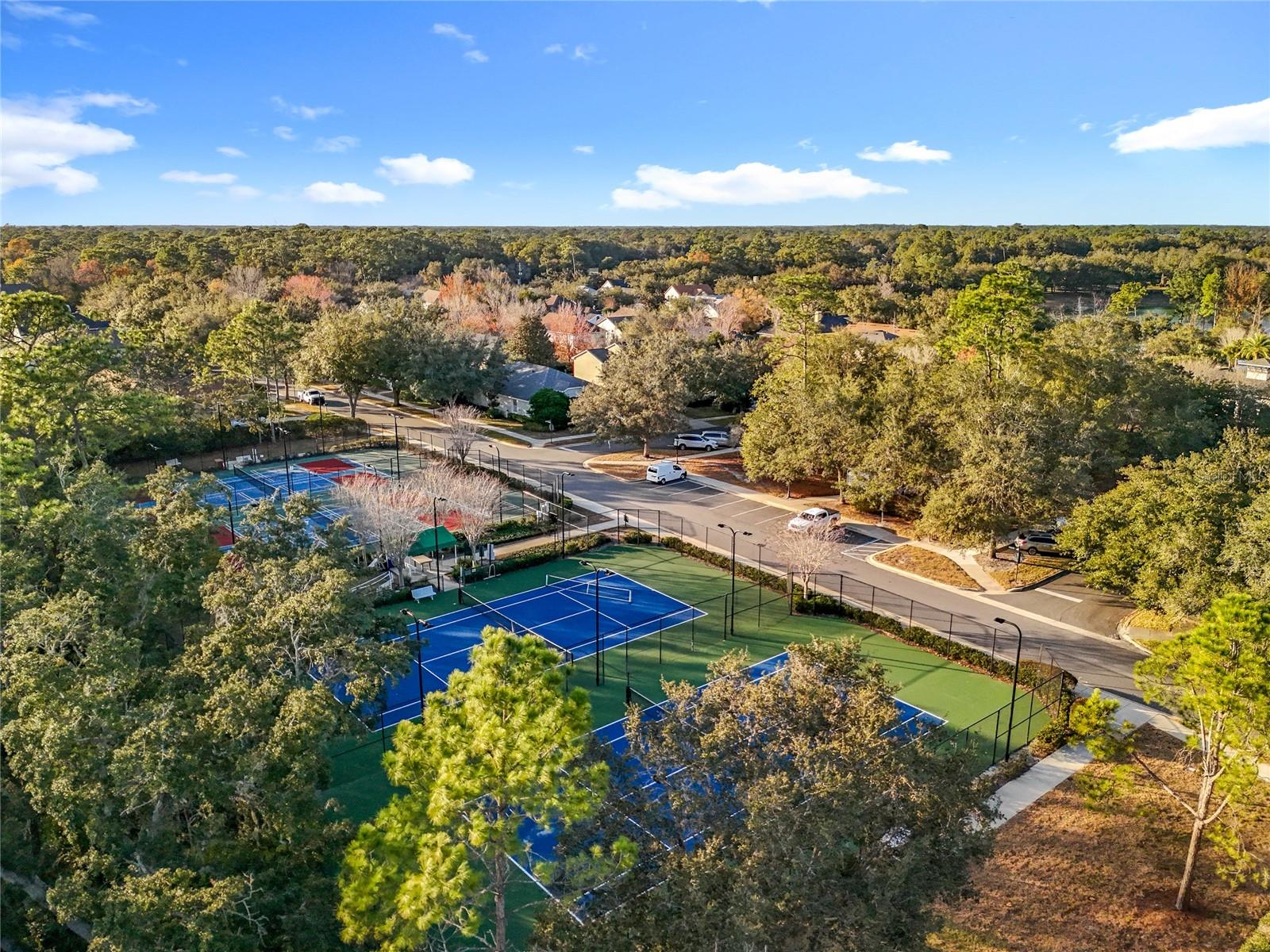 295 Northcote Court