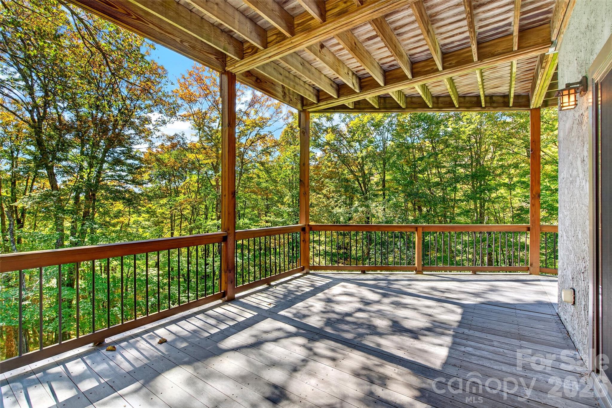 155 Mule Trail Drive