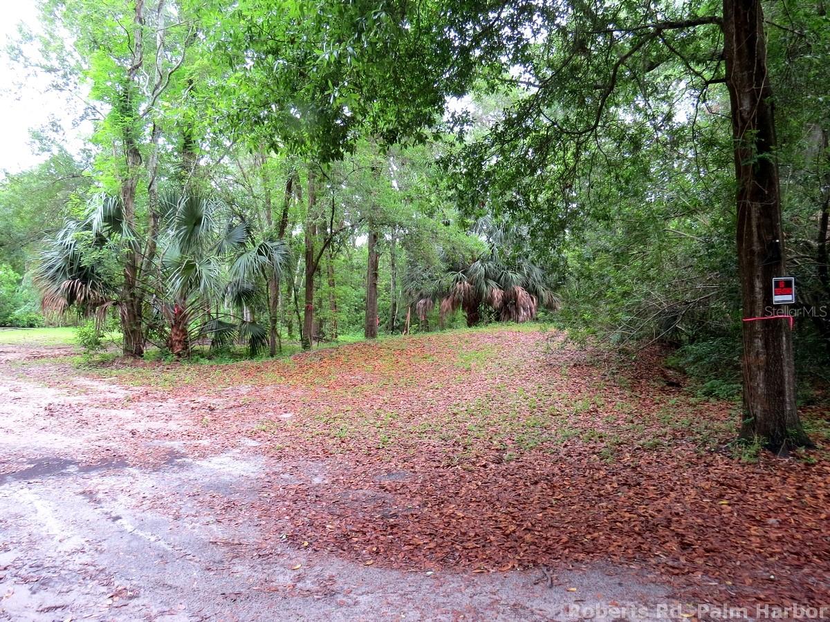Roberts Road