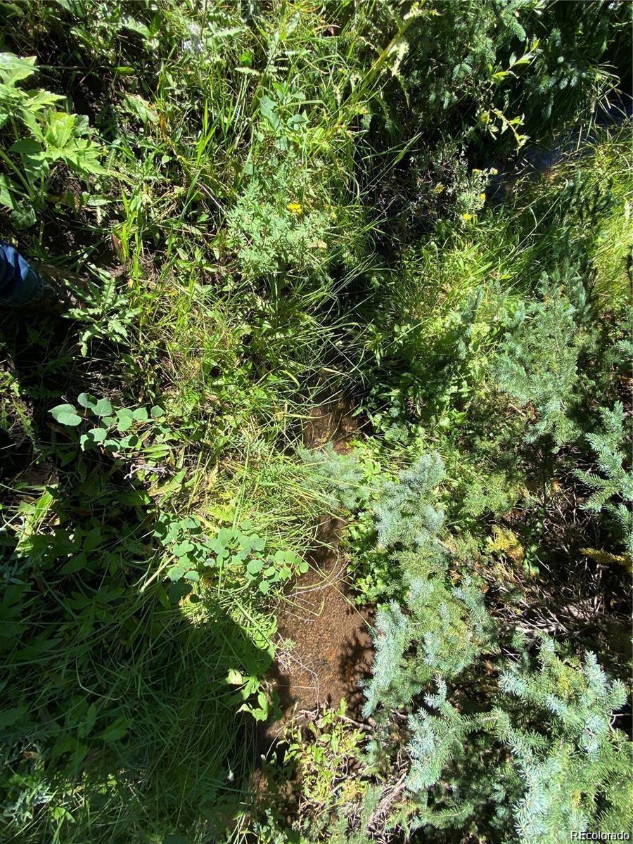 Lot 3141 Forbes Loop Road