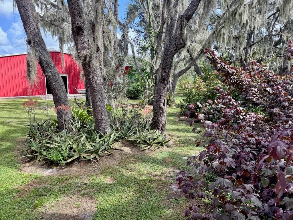 1126 & 1144 County Road 665