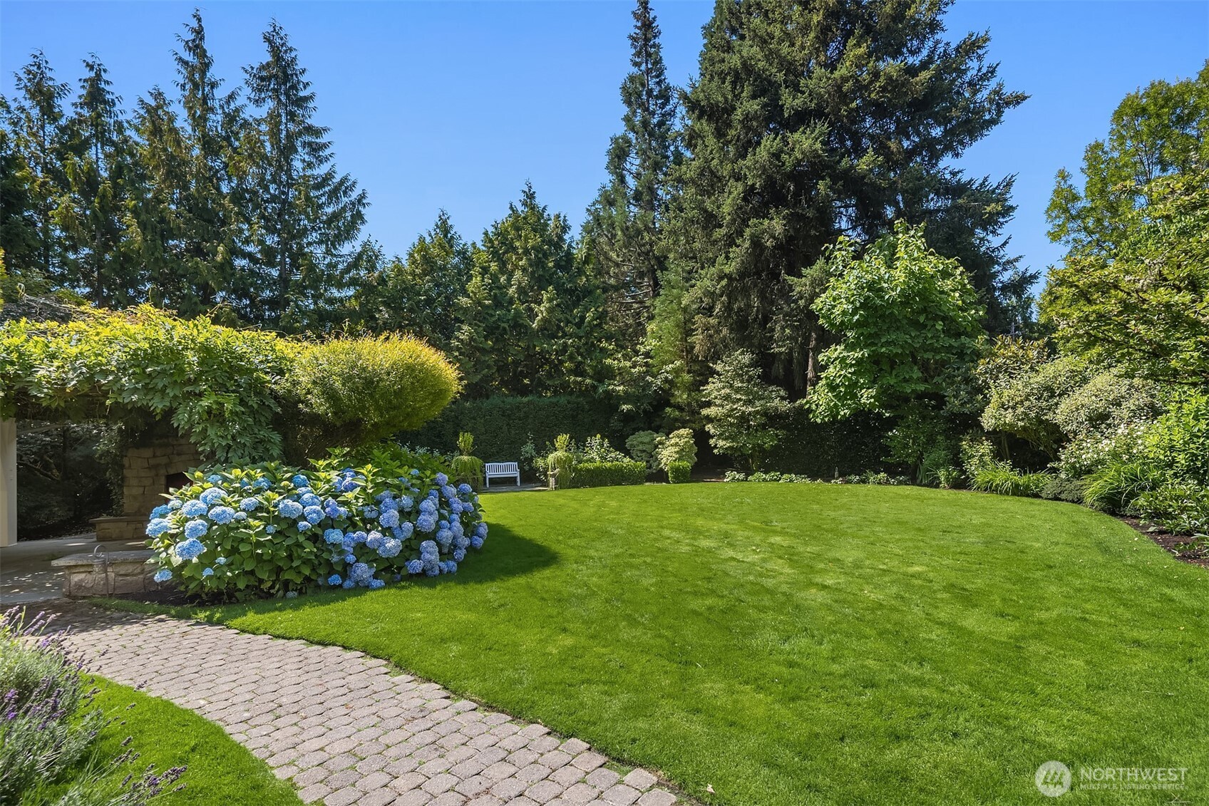 Lush, landscaped backyard with mature trees and flowering shrubs.