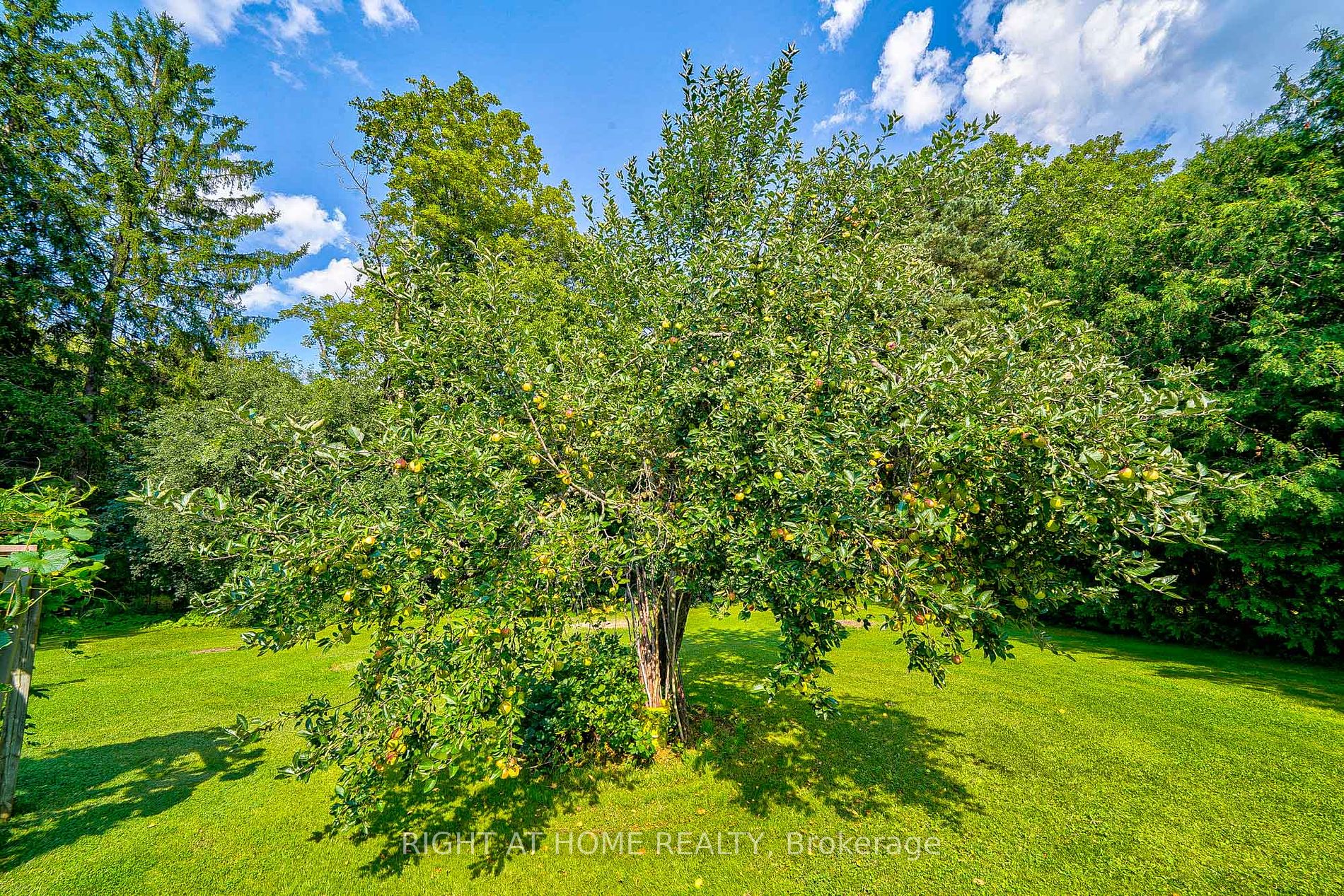 28 Cachet Pkwy